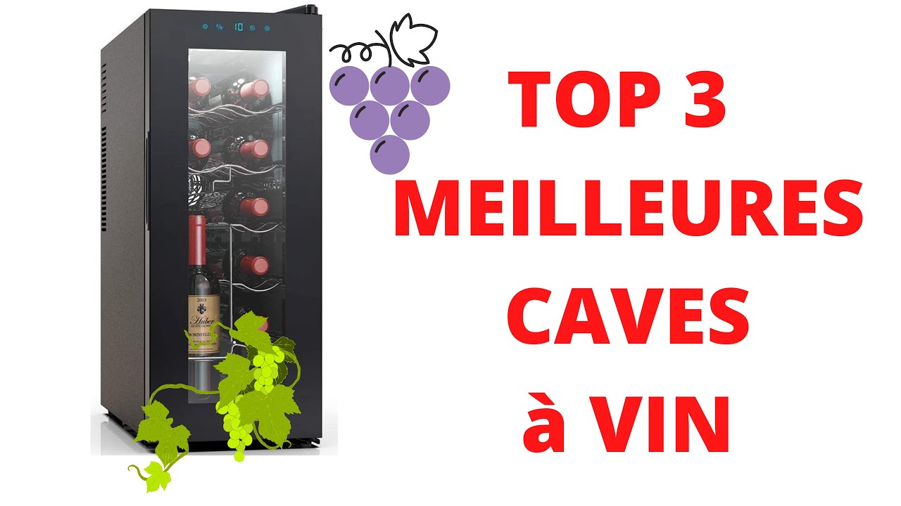TOP 3 MEILLEURES CAVES à VIN