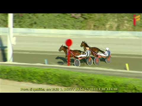 Prova di Qualifica   2 Anni del 3 Luglio 2021   Metri 1600