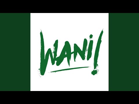 WANI YouTube thumbnail