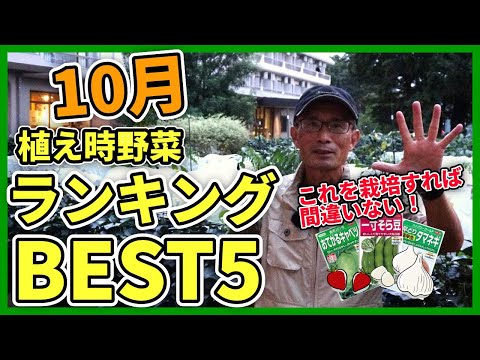 秋の野菜畑：春の豊作のために10月に植えるべき野菜は何ですか？  庭園