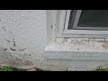 Ants Push Their Way into the Basement in Tinton Falls, NJ
