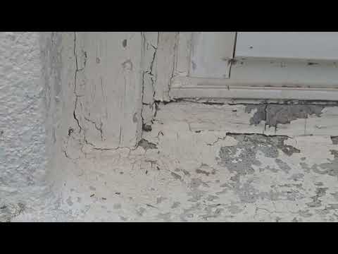 Ants Push Their Way into the Basement in Tinton Falls, NJ