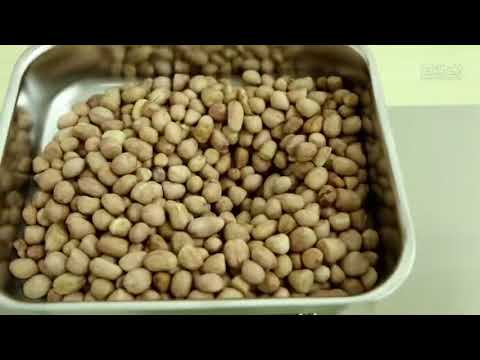 Domestic oil expeller machine, capacity: 3-6 kg/hour