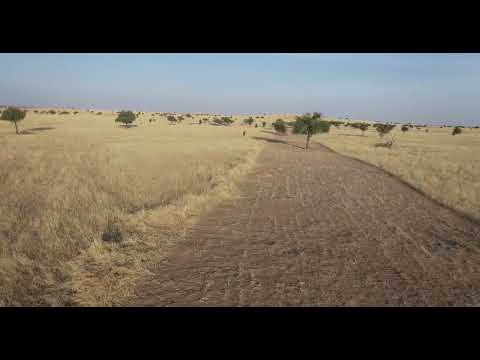Opérations d’Ouvertures des Bandes Pare-Feu dans les Régions de Zinder, Maradi et Tillabéri