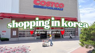 shopping in korea vlog 🇰🇷 grocery food haul with prices! 🌽 all new food for summer!
