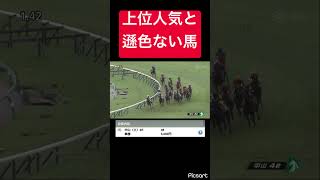 【妙味あり】上位人気と遜色ないのにオッズがつくので買います #競馬