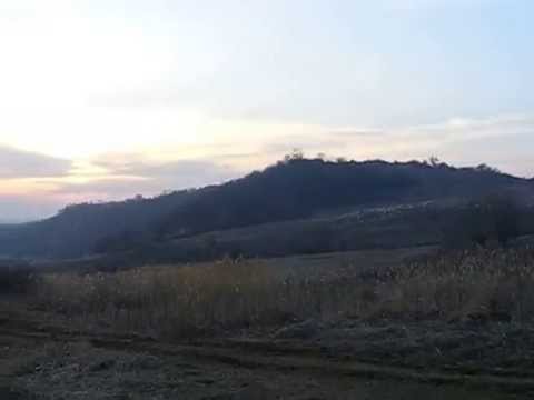 La movilele de la Sona