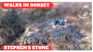 WALKS IN DORSET at CRANBORNE COMMON, STEPHEN'S CASTLE (INC STEPHEN'S STONE) & ALDERHOLT (4K)