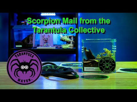 Scorpion Mail from the Tarantula Collective