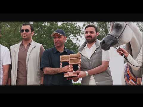 TM BELLA - Bronze Champion Junior Filly - GCAT Valkenswaard 2024