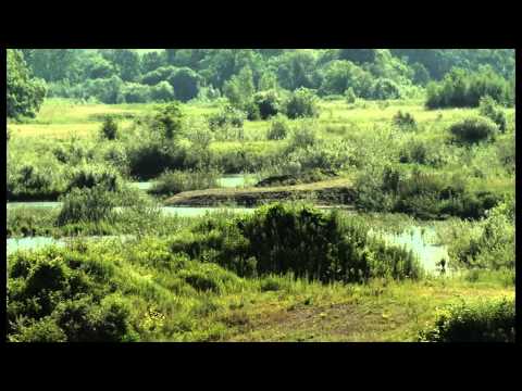 LFV 6 🔗 https://icc24.de/