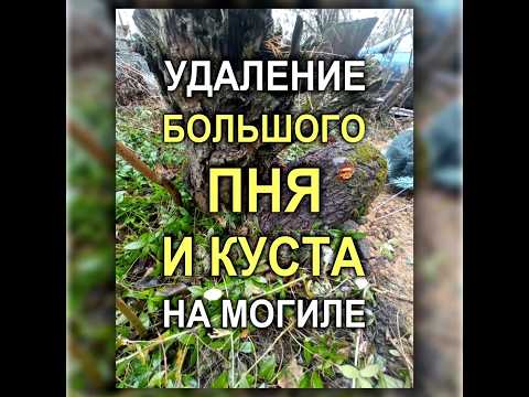 804М - Удаление старого большого пня и куста на могиле (Кривой Рог)