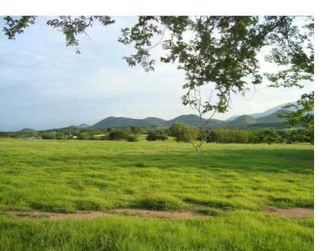 Banda Palmitas "EL Negro Carrillo"