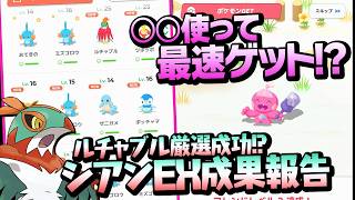 プチ裏技を使ってカヌチャンを最速ゲットしちゃおう＋シアンEX初週成果報告【ポケモンスリープ】