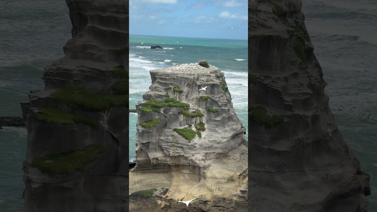 YouTube Short thumbnail