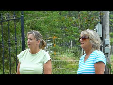 The Rescue of the Squirrels