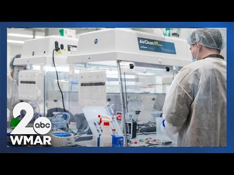 How advanced DNA technology led police to suspect in Rachel Morin murder