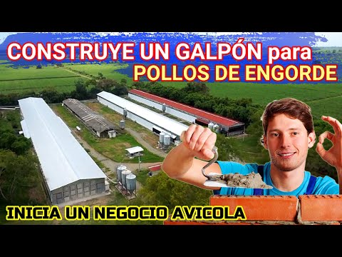 , title : '▶ Construcción de GALPÓN para 🐔 POLLOS DE ENGORDE | Planifica tu proyecto'