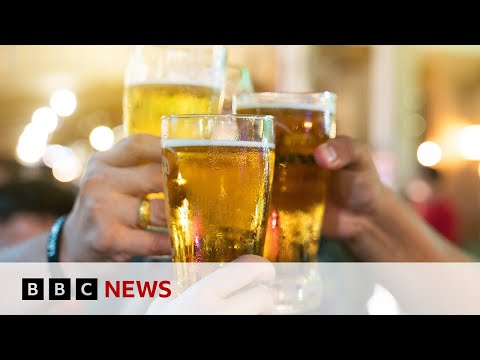 代替レザーにビールを使う方法｜BBCニュース (How beer is used to make alternative leather | BBC News)