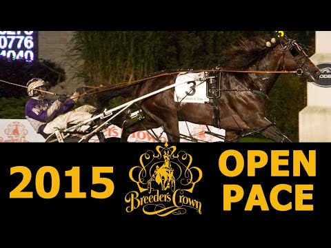 2015 Breeders Crown - Always B Miki - Open Pace