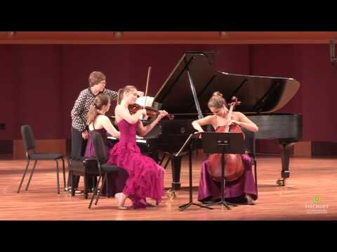 Brahms: Piano Trio No 1 in B Major, Op. 8, Mvt. I, Allegro con brio