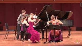 Brahms: Piano Trio No 1 in B Major, Op. 8, Mvt. I, Allegro con brio