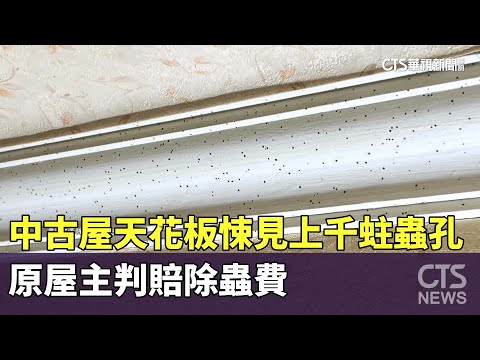 中古屋天花板悚見上千蛀蟲孔　原屋主判賠除蟲費