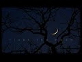 Liana Flores Rises The Moon Rain 1hour