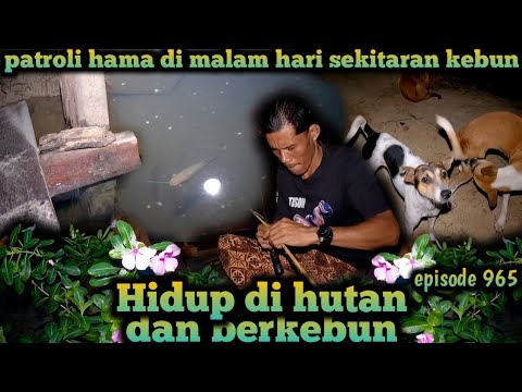 , title : 'ronda malam hari di sekitar kebun dan kolam life in the forest warta petani muda hidup di hutan'