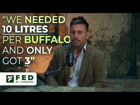 Steve Mitchell - What happened at The Buffalo Farm?