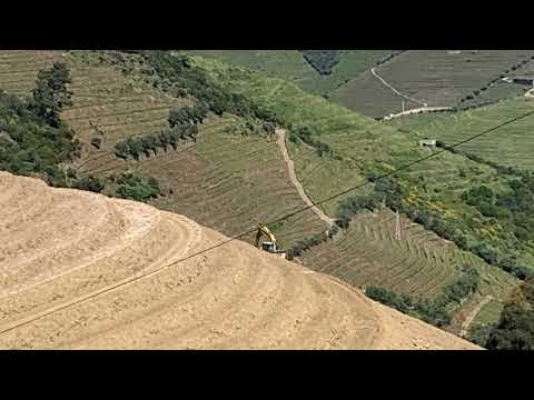 Quinta de Santa Eufemia Winery, Douro Valley, Portugal
