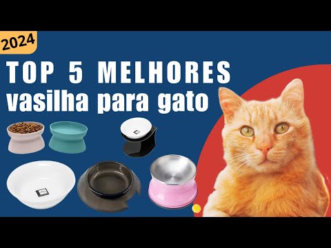 Top 5 Melhores Vasilha Para Gato 2024