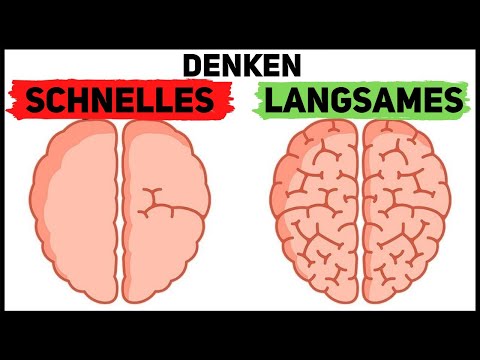 Thinking Fast and Slow | Daniel Kahneman