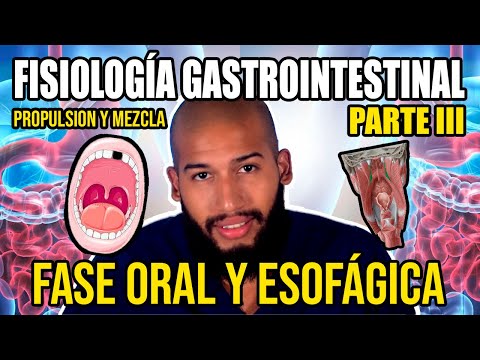 Fisiología GASTROINTESTINAL Pt. III - Fase Cefálica, Oral y Esofágica (Peristaltismo y Salivación)