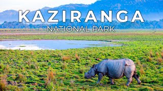 India's Lost World | The Kaziranga Expedition