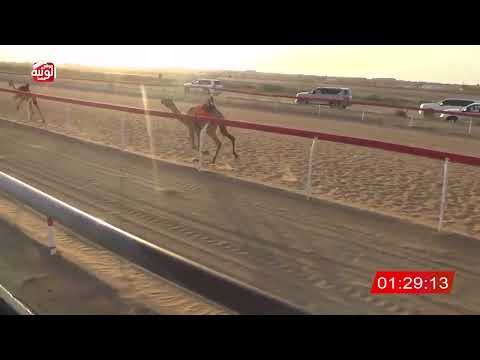  ش 9 (ارتكاز) لـ احمد راشد بن نافع الوهيبي 3:10 ، شارة الصندوق 2026/08/28 فطامين الجبيب