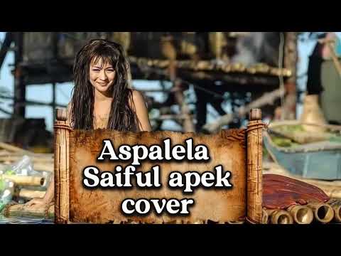 Aspalela -saiful apek COVER