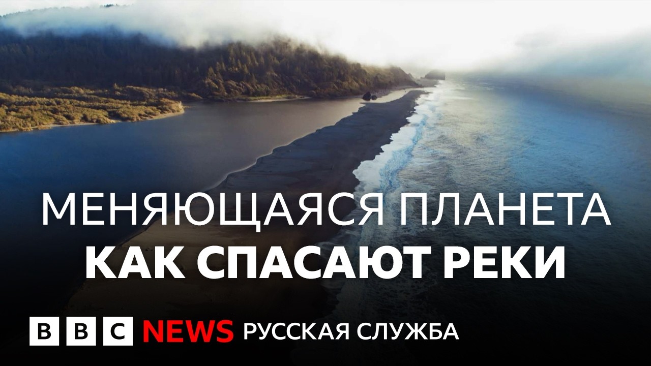 От Сены в Париже до плотин в Калифорнии: как люди спасают реки  | Документаль?
