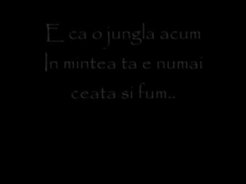 Skizzo Skillz feat. Grasu XXL - Gandul poate ucide ( lyrics )