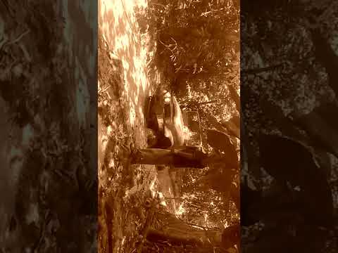 Pica de nuevo callao