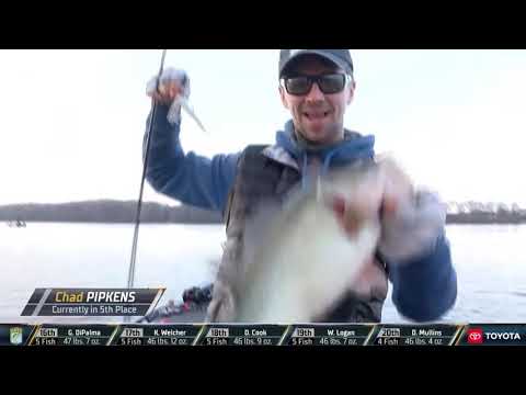 2021 Bassmaster Elite at Pickwick Lake, AL - Toyota Mid Day Report - Day 3