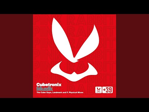 Muzik (The Cube Guys Mix)