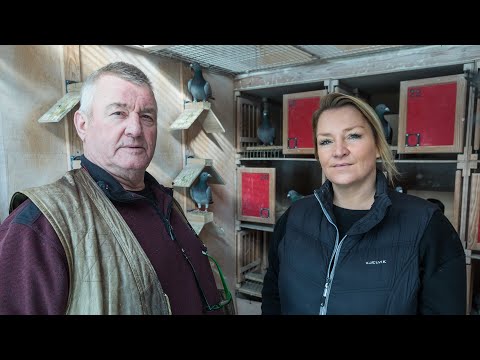 National WHZB/TBOTB/NPO winners 2022: 1st Ace Pigeon & Nominated Short Dist, van de Pasch & daughter