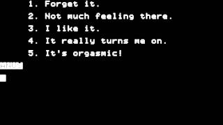 Interlude II for the Apple II  (WARNING! Contains A LOT of sexual content!!!)