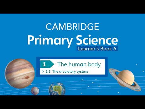Cambridge Primary Science 6 The circulatory system