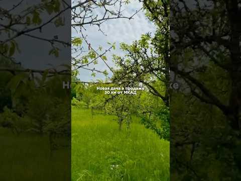 Купить дачу, с/т Тонус (Воложинский р-н, Минская область)