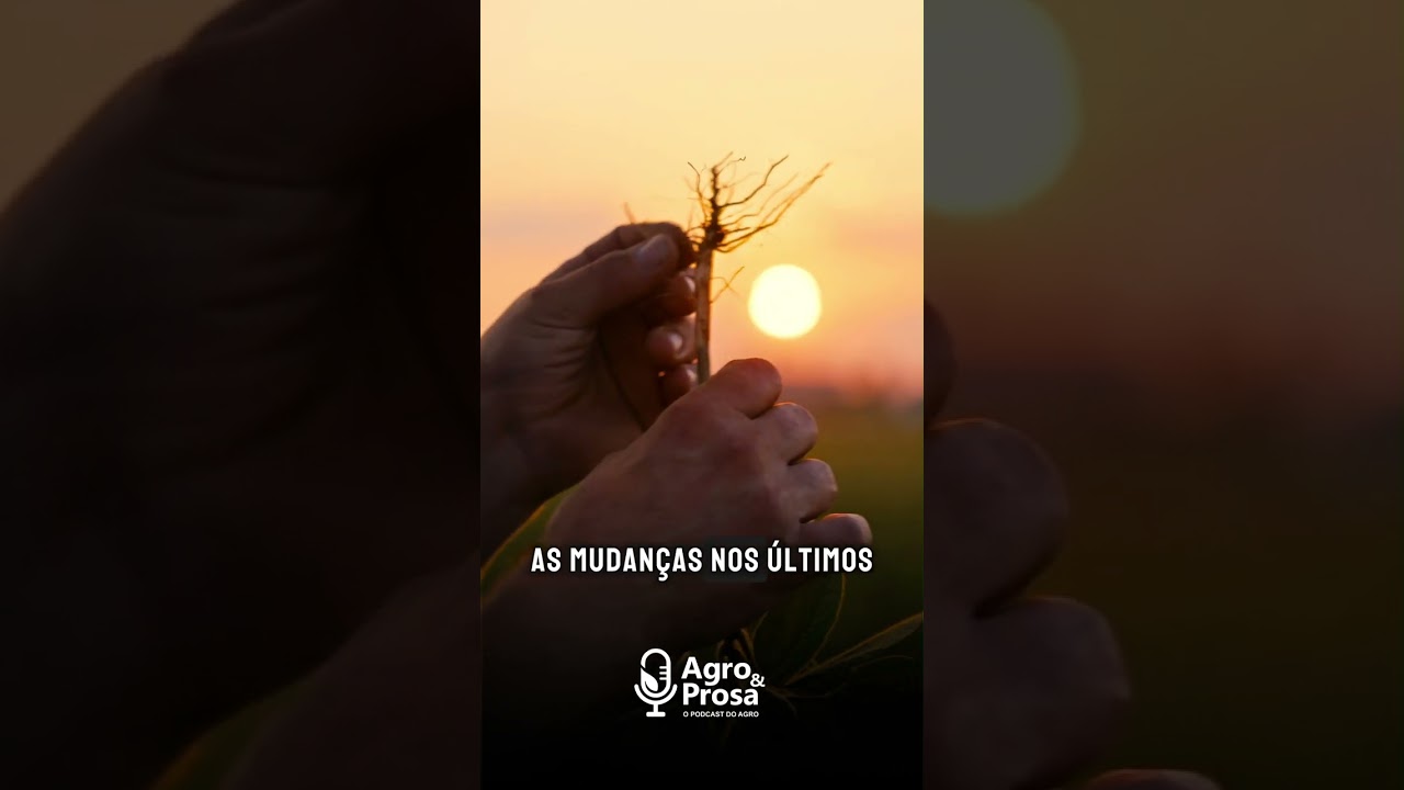 Por que PRODUZIR 60 SACAS de soja já NÃO dá mais LUCRO? 📉🌱