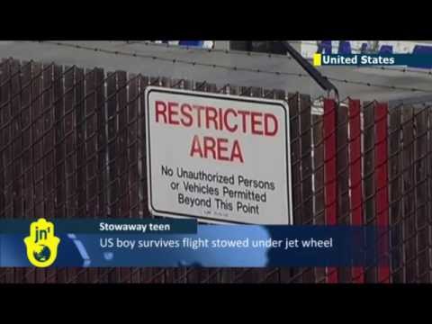 California Stowaway Miracle: Teenager survives flight over Pacific in landing gear compartment