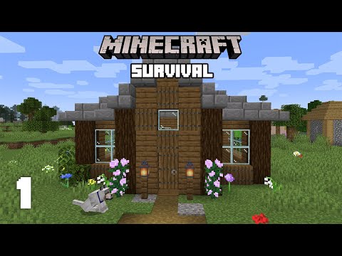 Minecraft: A New Journey - 1.17 Survival Let's play | Ep 1
