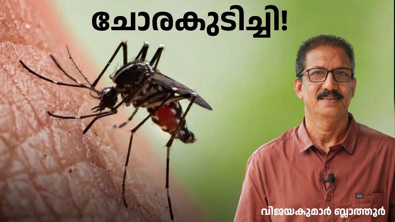 കൊതുകു മൂളും ജീവകഥ, ചോരകുടിക്കുന്നതെന്തിന് FASCINATING MOSQUITO FACTS #mosquito #malayalam #science